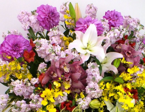 2016-3-16スタンド１段-1