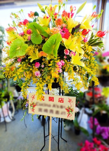 2017-2-24お届けスタンド1段-1