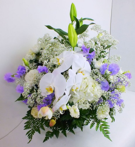 2017-4-2枕花