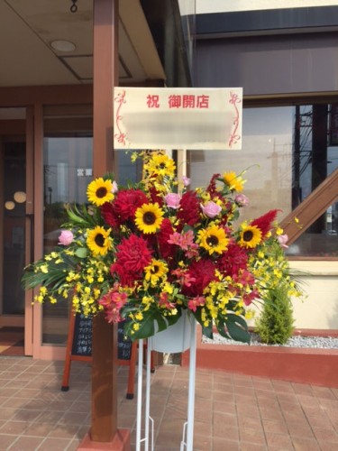 2017-7-12スタンド1段-1