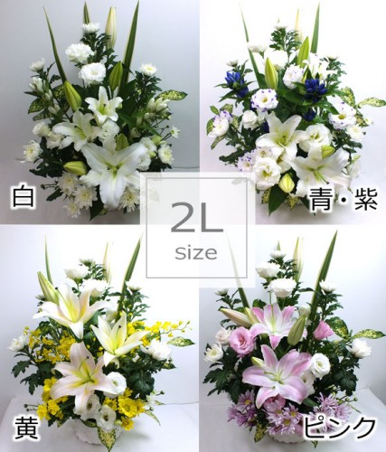 2l_size