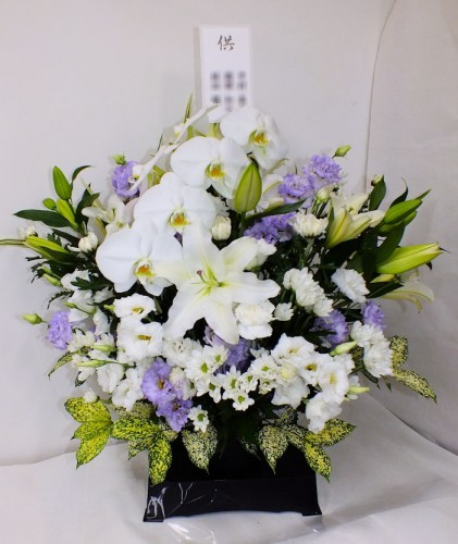 2017-8-6枕花-1