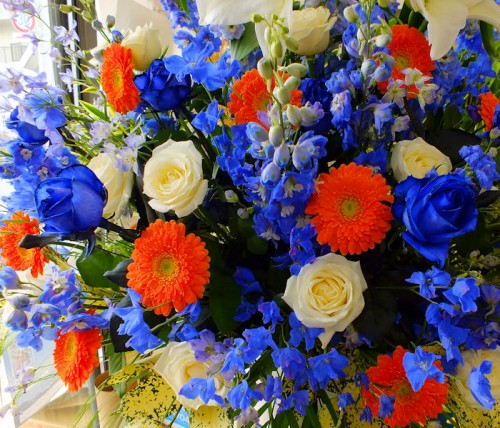 2017-9-22スタンド1段-2