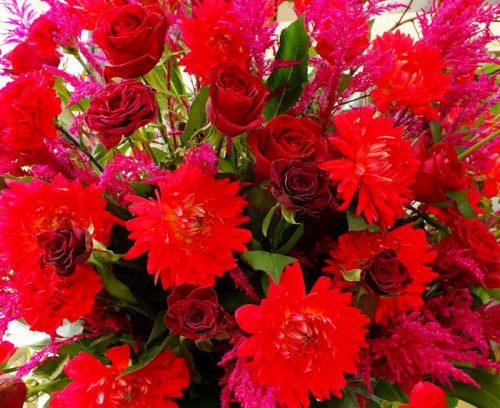 2017-9-28スタンド1段-2