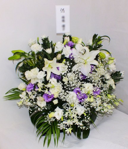 2017-11-12枕花