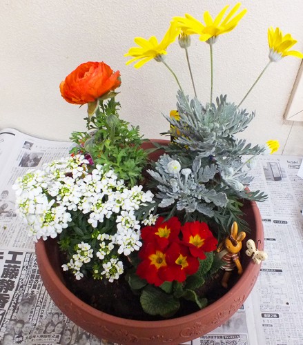 2019-2-19まちカル寄せ植え教室作品9