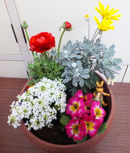 2019-2-19まちカル寄せ植え教室作品6