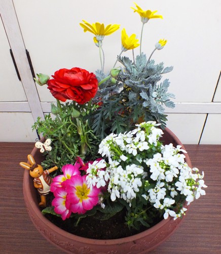 2019-2-19まちカル寄せ植え教室作品7