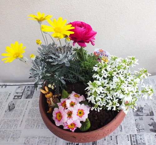2019-2-19まちカル寄せ植え教室作品2