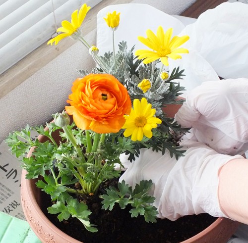 2019-2-19まちカル寄せ植え教室3