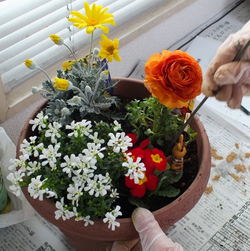 2019-2-19まちカル寄せ植え教室4