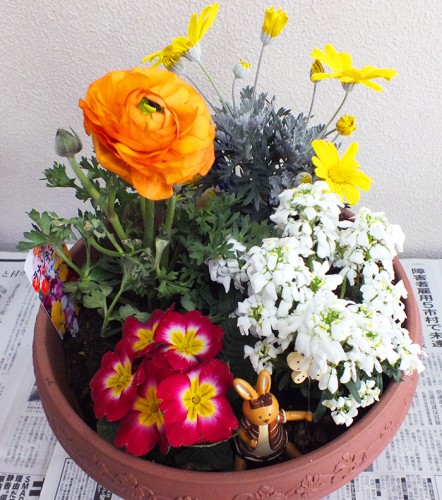 2019-2-19まちカル寄せ植え教室作品4