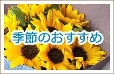 季節のおすすめ