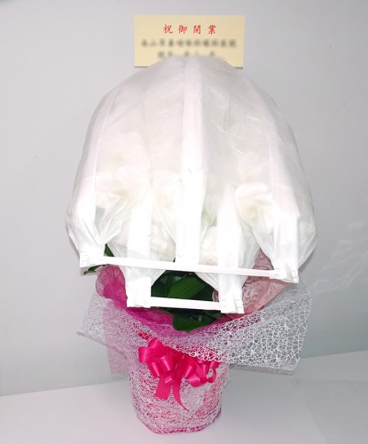 2019-11-3御祝胡蝶蘭白5本立